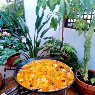 Paella cooking outdoors on an open fire (a hob) in Spain.