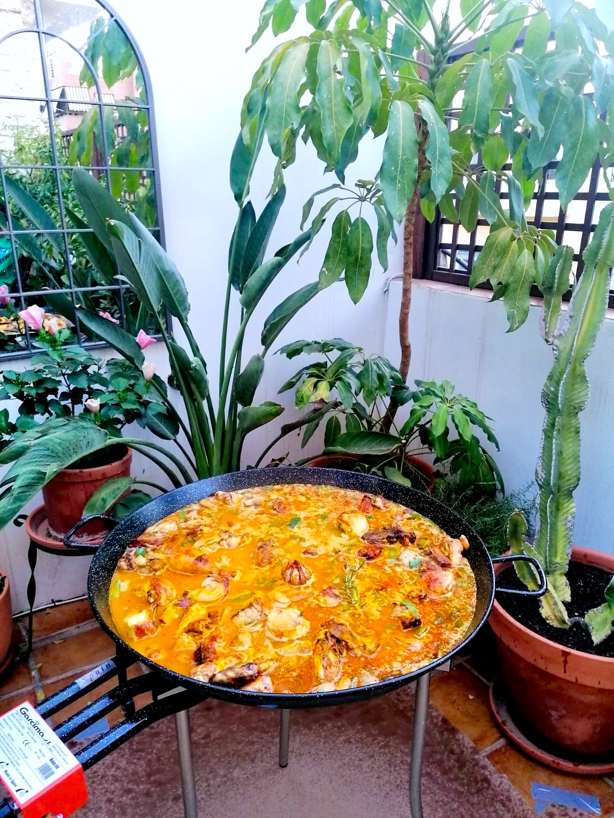 Paella cooking outdoors on an open fire (a hob) in Spain.