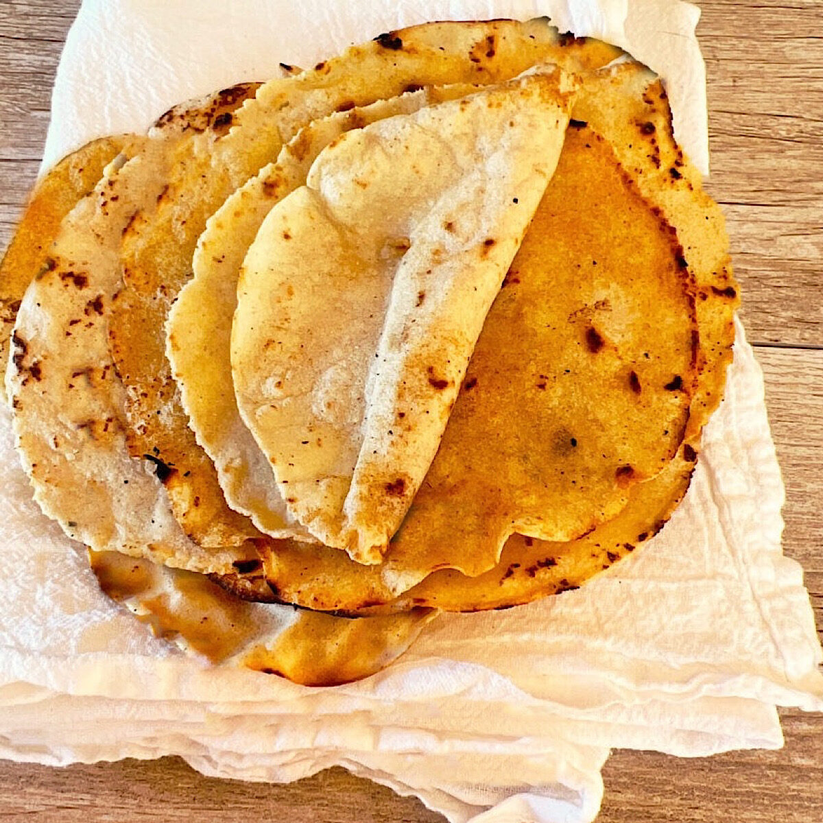 Homemade Corn Tortillas Using Tortilla Press Farm to Jar