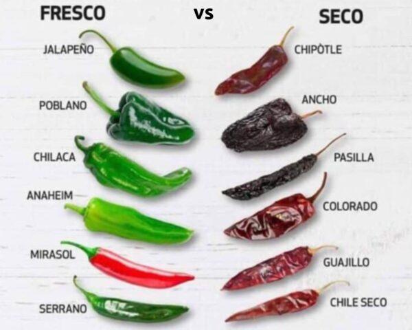 chart showing chile peppers in fresh vs dried form.