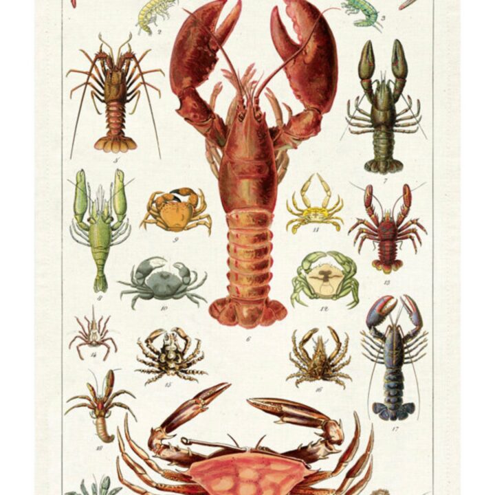 Best Gifts for Seafood Lovers for Any Budget
