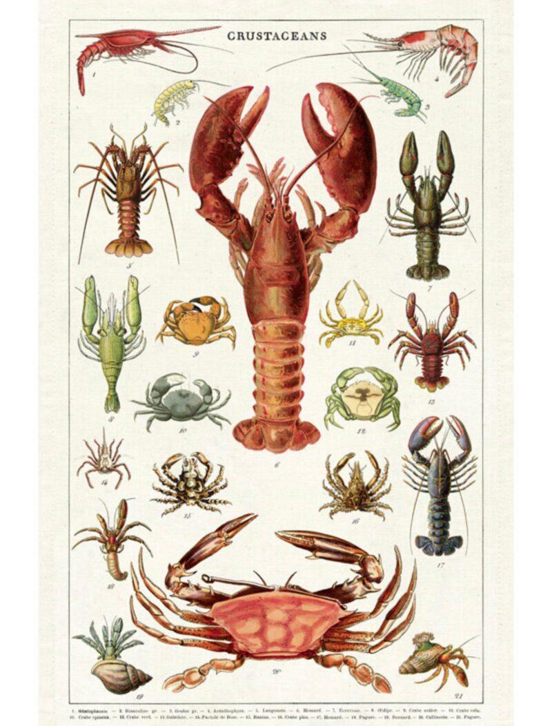 Vintage crustacean illustration tea towel gift for seafood lovers