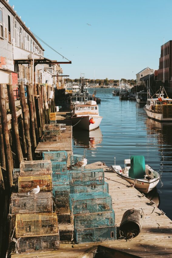 Maine harbor view with lobster boxes, boats and seagull