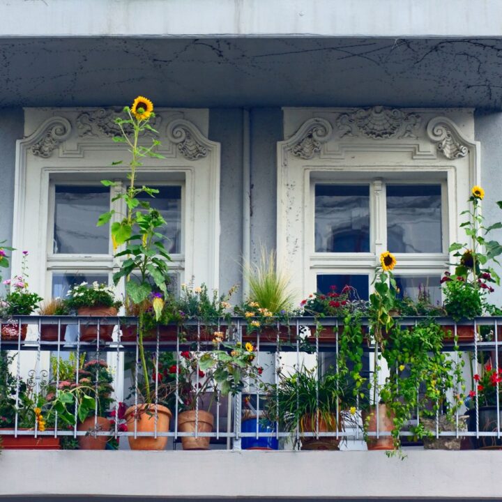 Starting A Balcony Herb Garden: Beginner’s Guide