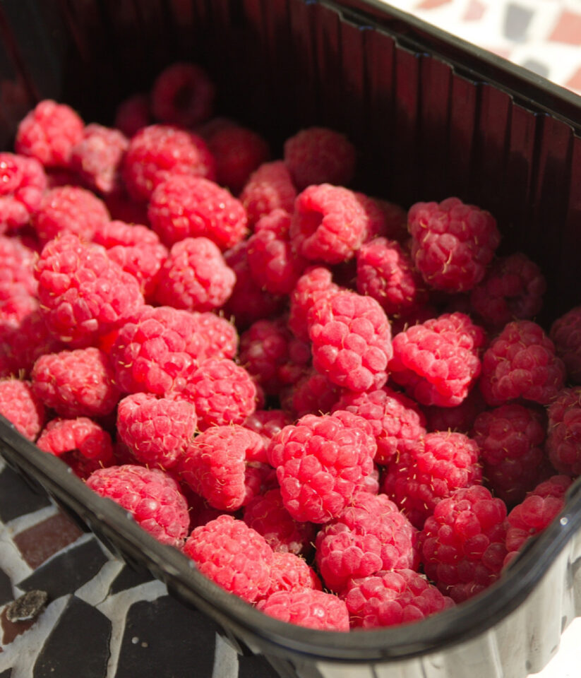 How To Grow the Sweetest Raspberries Farm to Jar