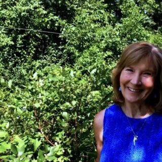 Dorothy Stainbrook (author) in blueberry patch of Northland bushes.