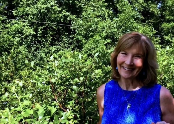 Dorothy (author) in blueberry patch of Northland bushes.