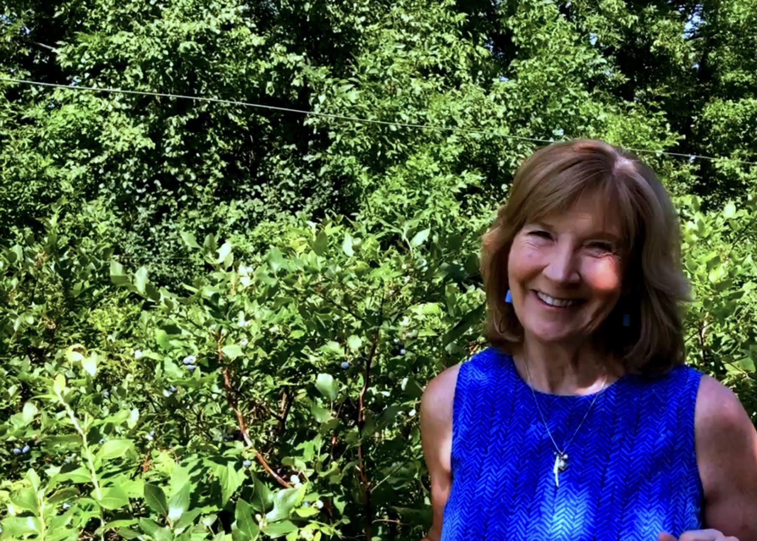 Dorothy Stainbrook (author) in blueberry patch of Northland bushes.