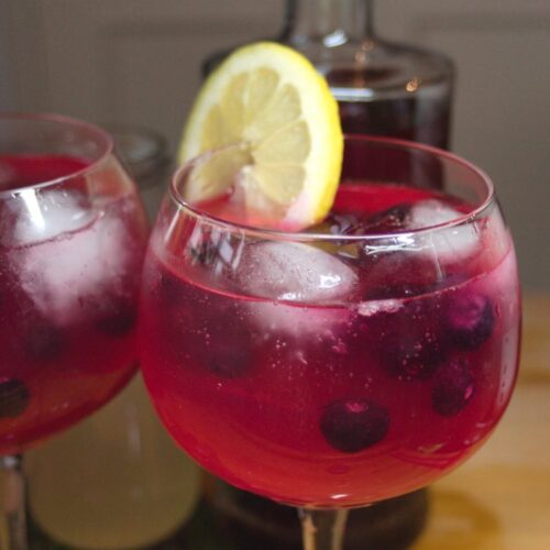 Blueberry Infused Vodka (+Cocktail Recipe) Farm to Jar