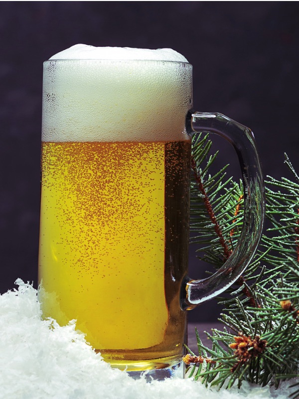 Mug of beer with fir tips and branch in background.