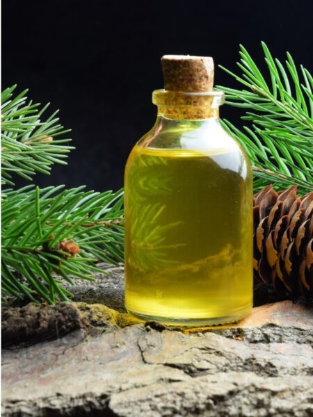 Simple syrup made with spruce  tips