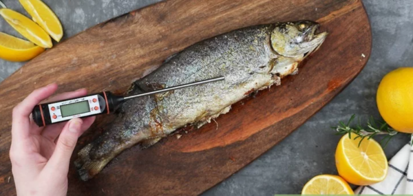 Photo of cooked whole trout surrounded by lemons with woman's hand holding digital thermometer stuck into the fish.