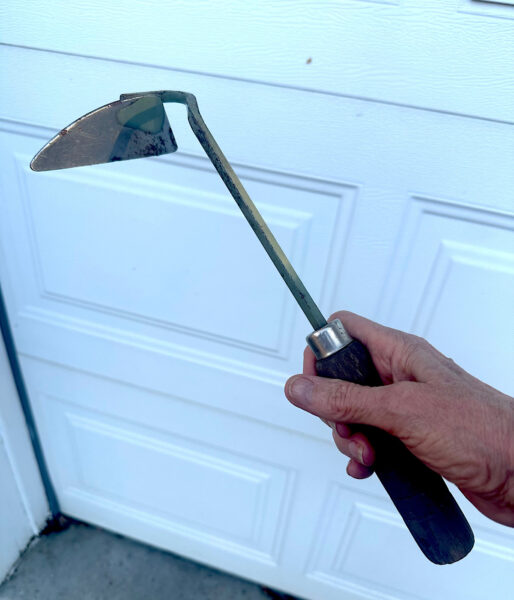Hand holding weeding tool against a white garage door