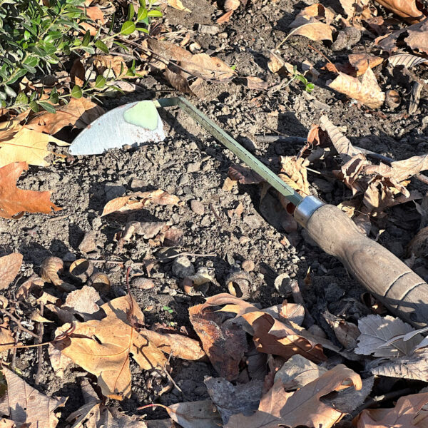 Weeding tool laying in the soil with leaves surrounding it.
