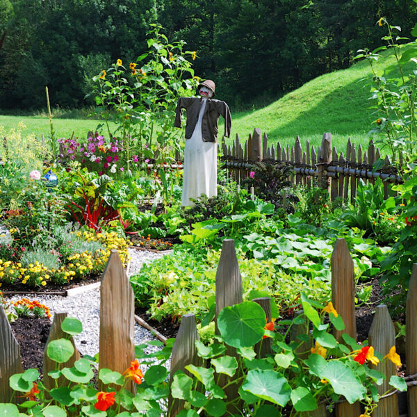 Italian kitchen garden design with scarecrow.