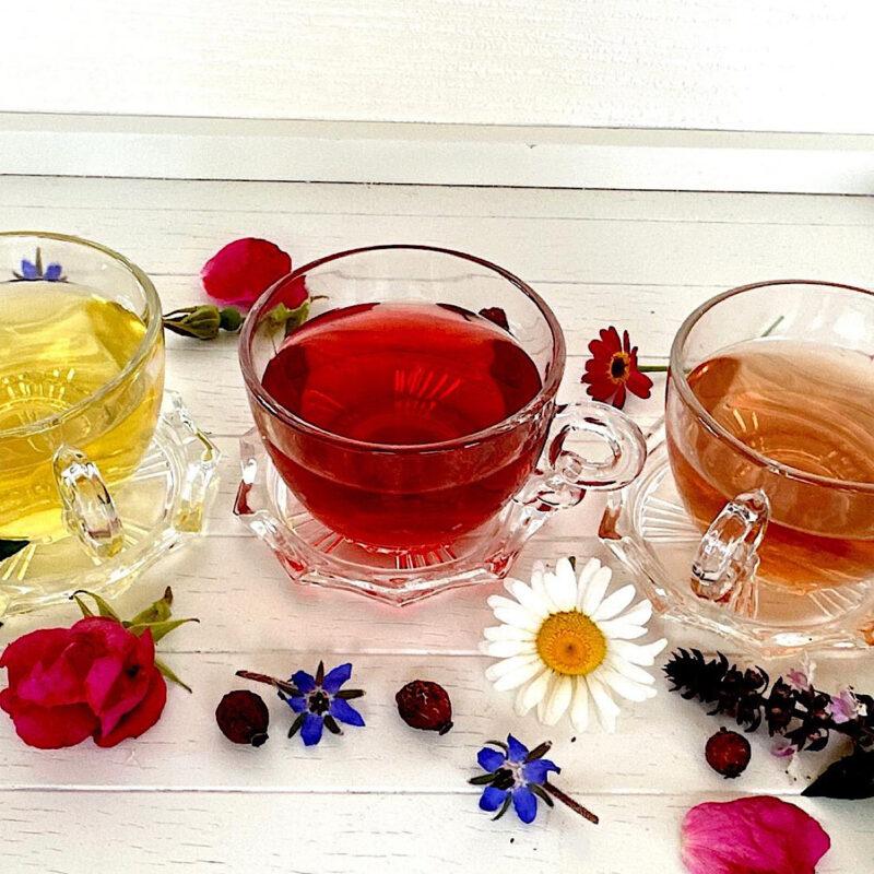 3 cups of herbal tea from HeathGlen Farm with flowers scattered in front.