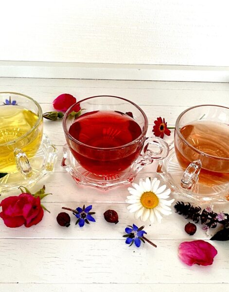 herbal teas in cups with flowers strewn in front