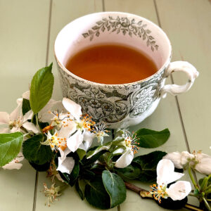 Green sencha and pomegranate looseleaf tea from Dorothy Stainbrook's Wellness tea collection