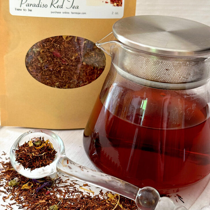 What Is Rooibos Tea? A Complete Guide to Red Bush Tea”