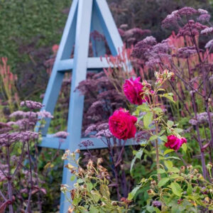 Garden arbor with roses in front