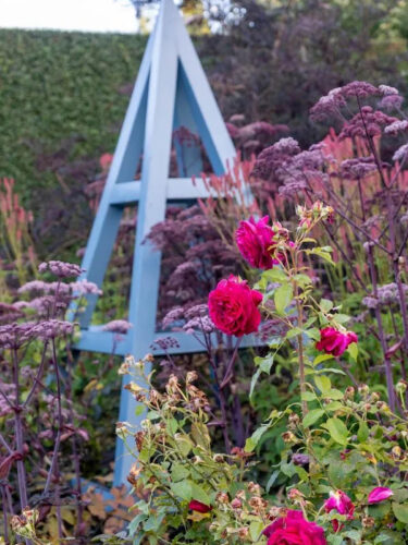 Garden arbor with roses in front