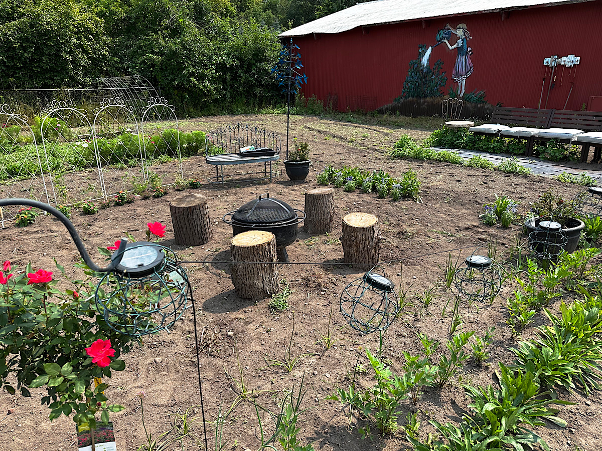 Hygge garden mid-July 2024 at HeathGlen Farm.