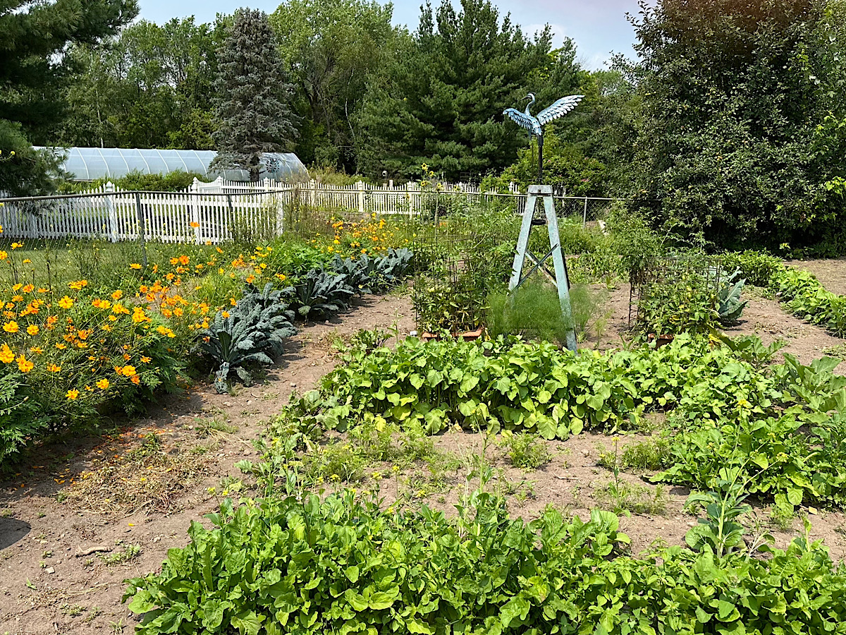 Italian garden mid-July