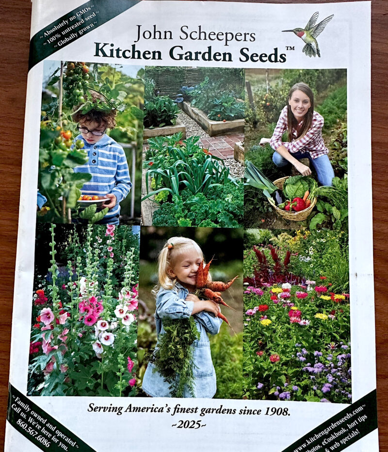 Scheepers seed catalog 2025