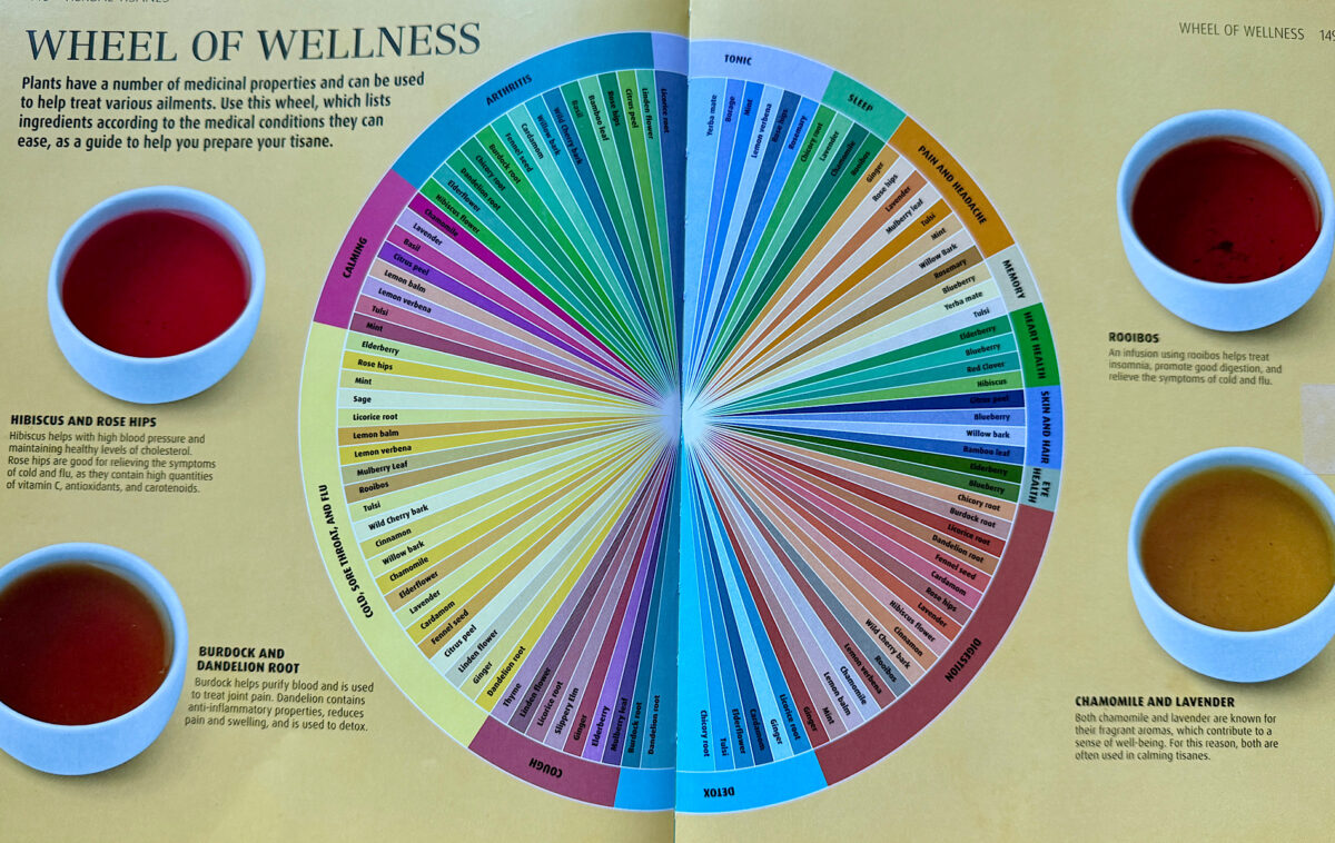 Graphic of wellness wheel for herbal teas