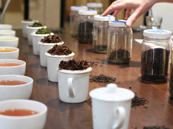 Set up for a tea tasting party with line up of looseleaf teas and their brewed sample.