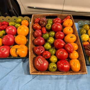 Different varieties of heirloom tomatoes from HeathGlen Farm.