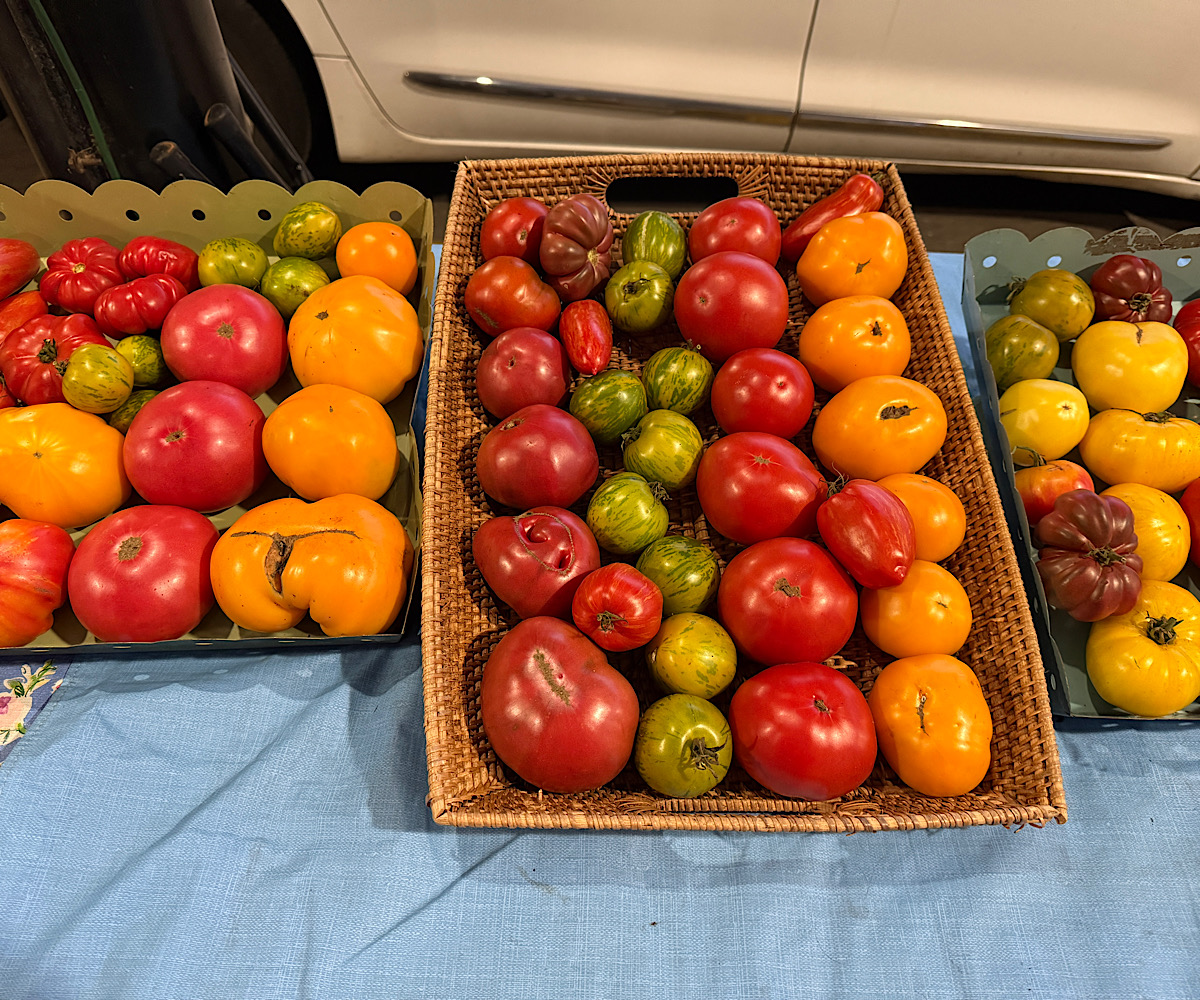 Different varieties of heirloom tomatoes from HeathGlen Farm.