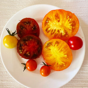 Plate of heirloom tomatoes including Persimmon, Gardeners Delight, Carbon, and Snowberry