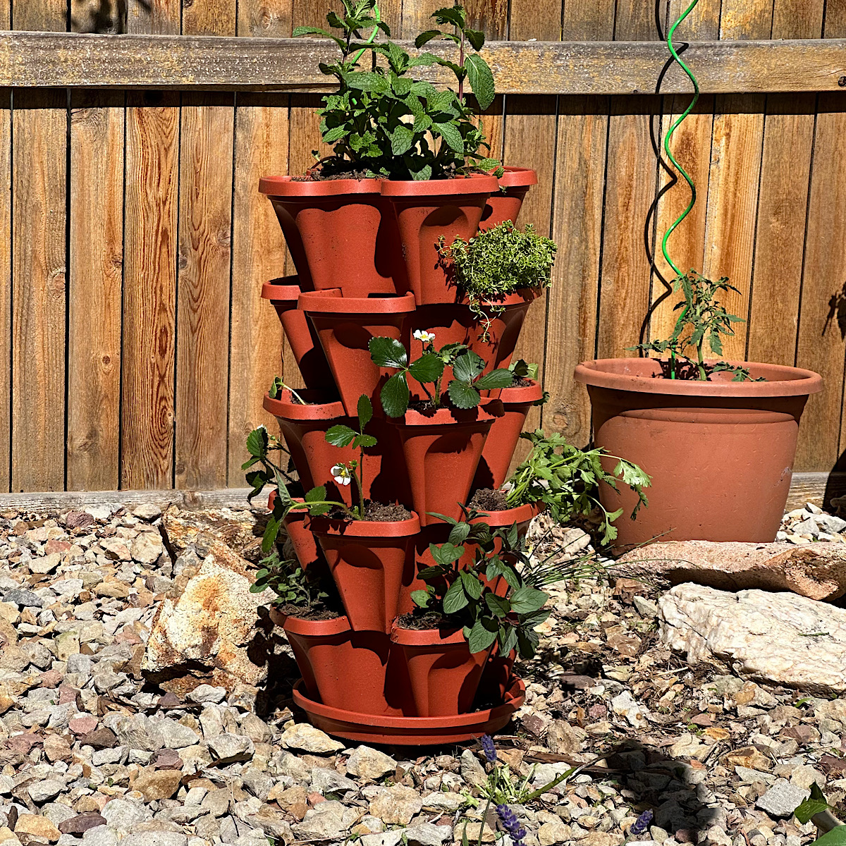 Tower planter for growing smaller herbs and strawberries in a container garden.