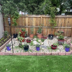 Container garden in Denver Colorado with Smart Drip Irrigation attached.