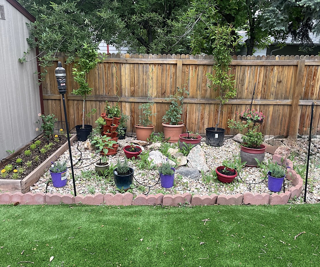 Container garden in Denver Colorado with Smart Drip Irrigation attached.