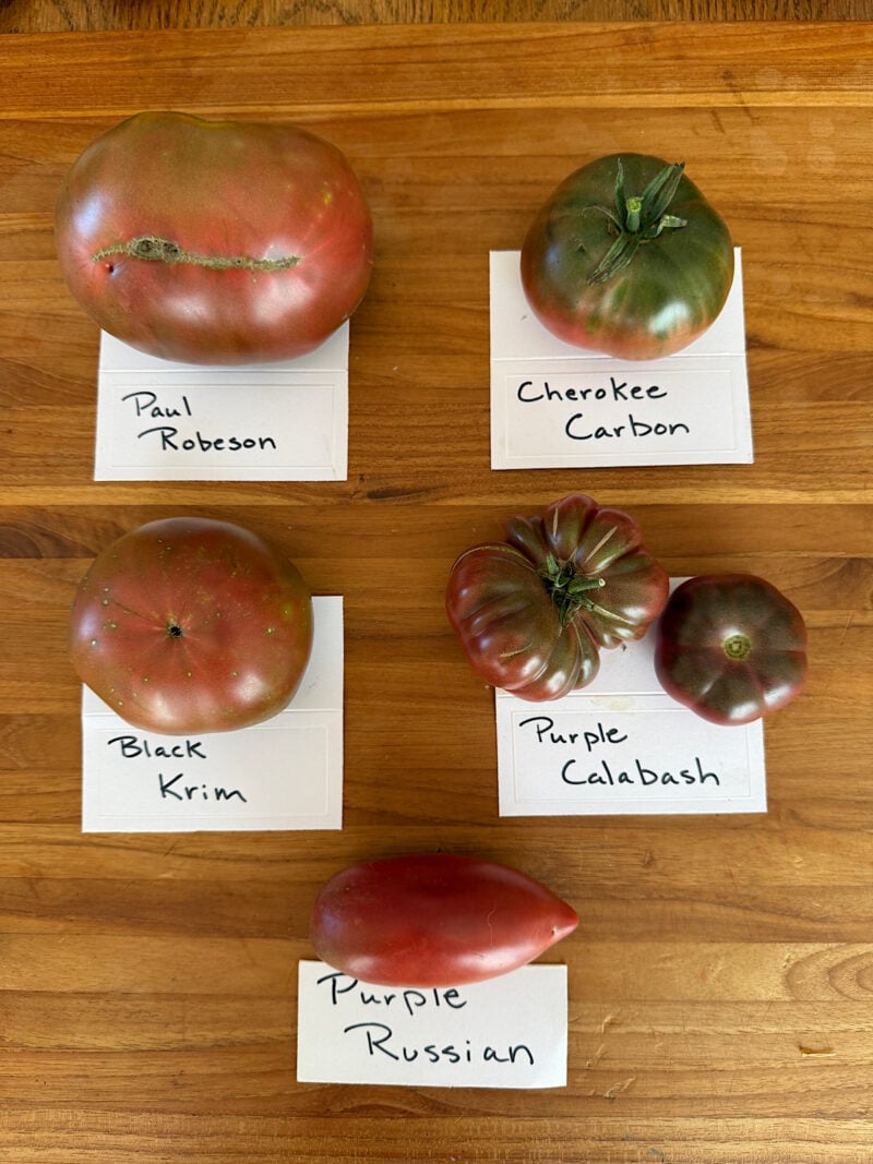 Black (or purple) heirloom tomatoes from Heathglen Farm.