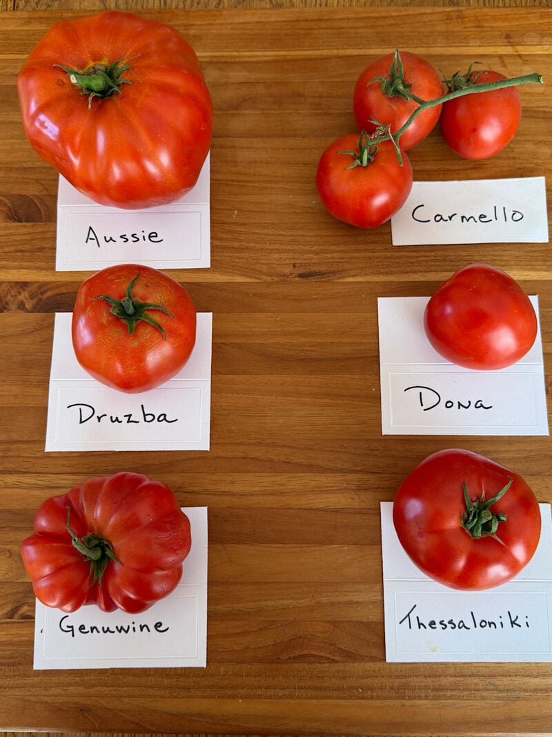 Popular red, robust-flavored heirloom tomatoes from Heathglen farm.