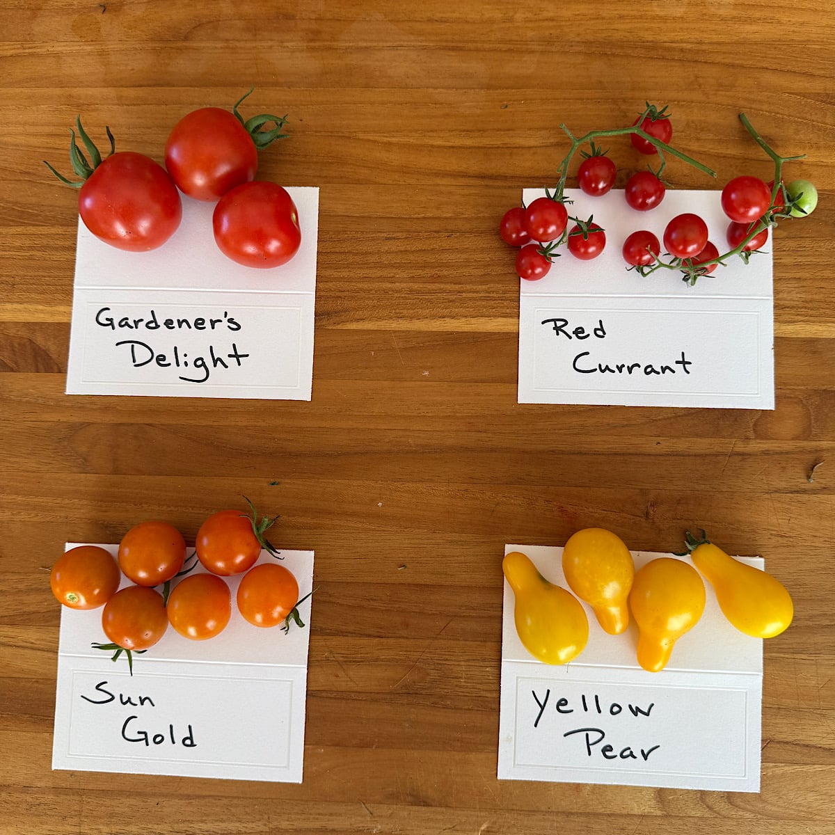 Four popular cherry tomatoes from Heathglen Farm.
