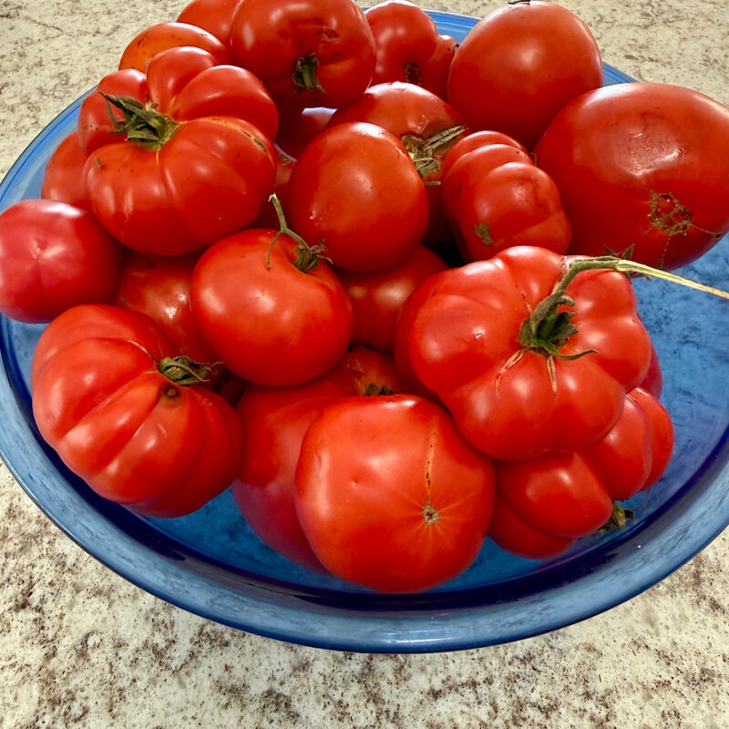7 pounds red heirloom tomatoes in a bowl ready to be made into freezer tomato sauce.